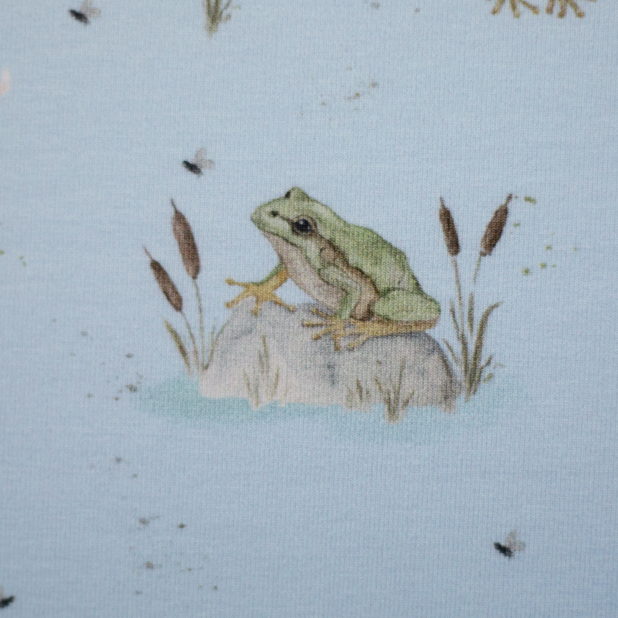 Frösche/In The Pond 