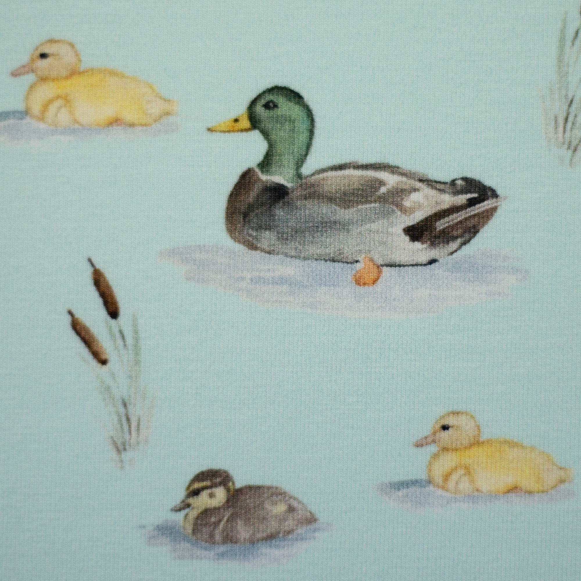 In The Pond by Christiane Zielinski