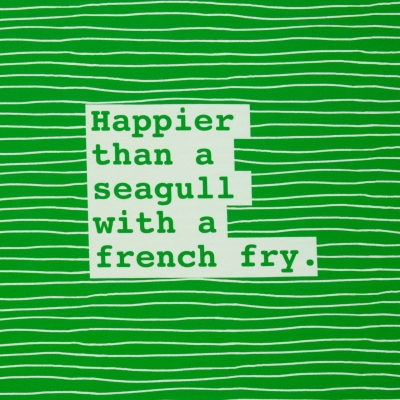 Seagull 100364 Panel